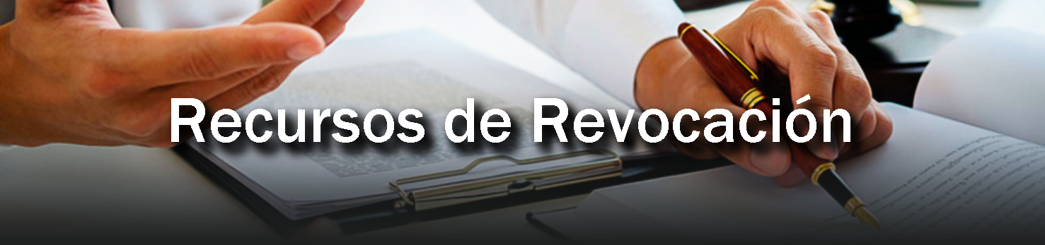 Recursos-de-Revocacion