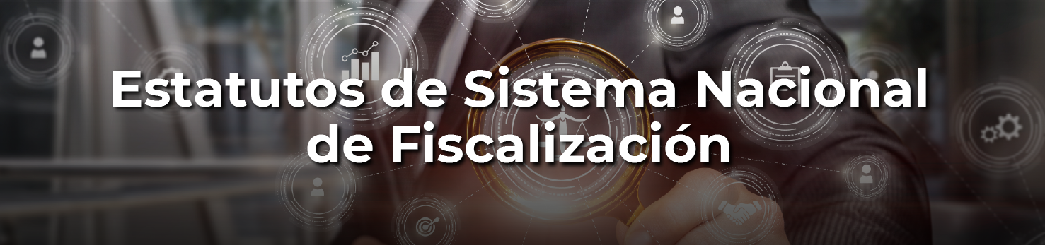 estatutos-sistema-fiscalizacion